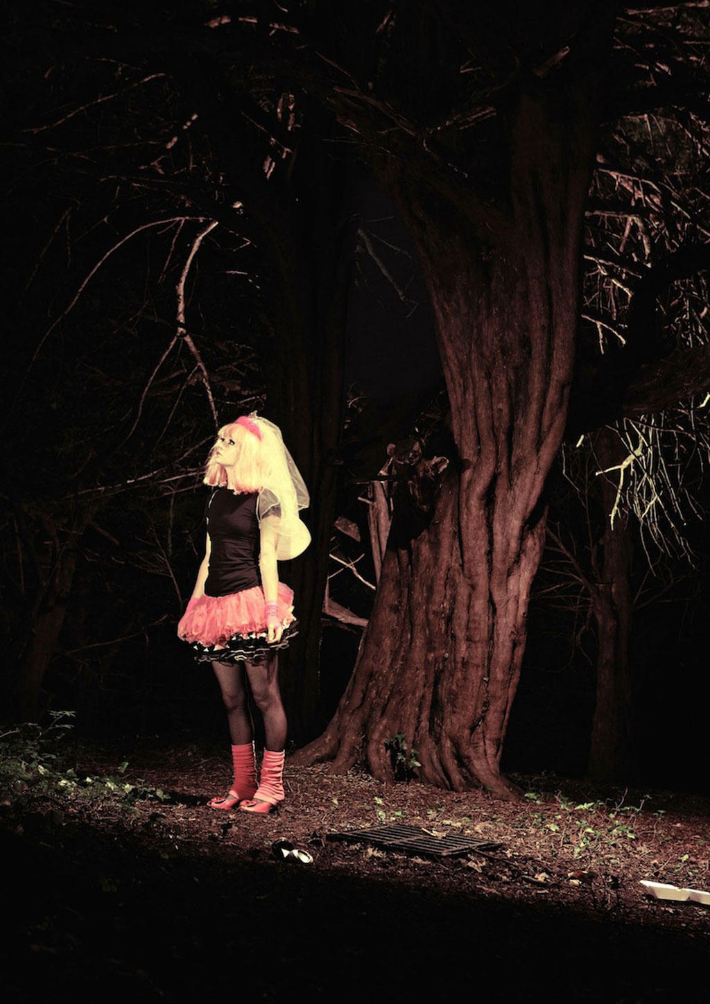 Branches: The Nature of Crisis