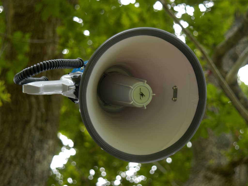 Migrations - Calling Tree