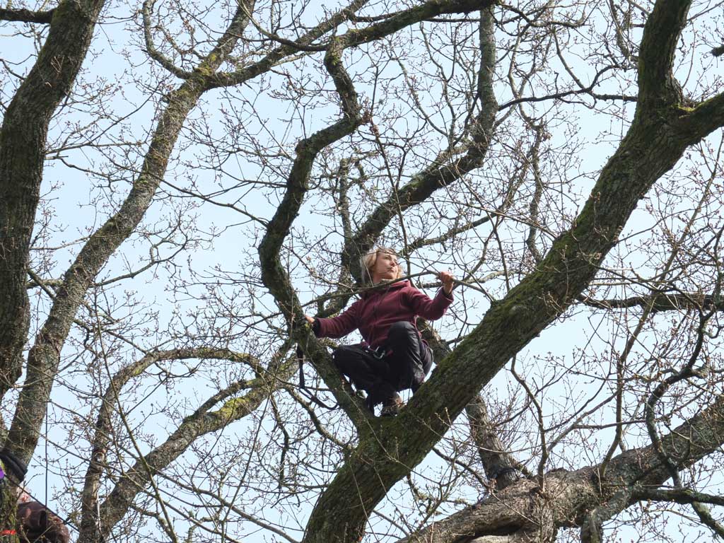 Migrations - Calling Tree rehearsals