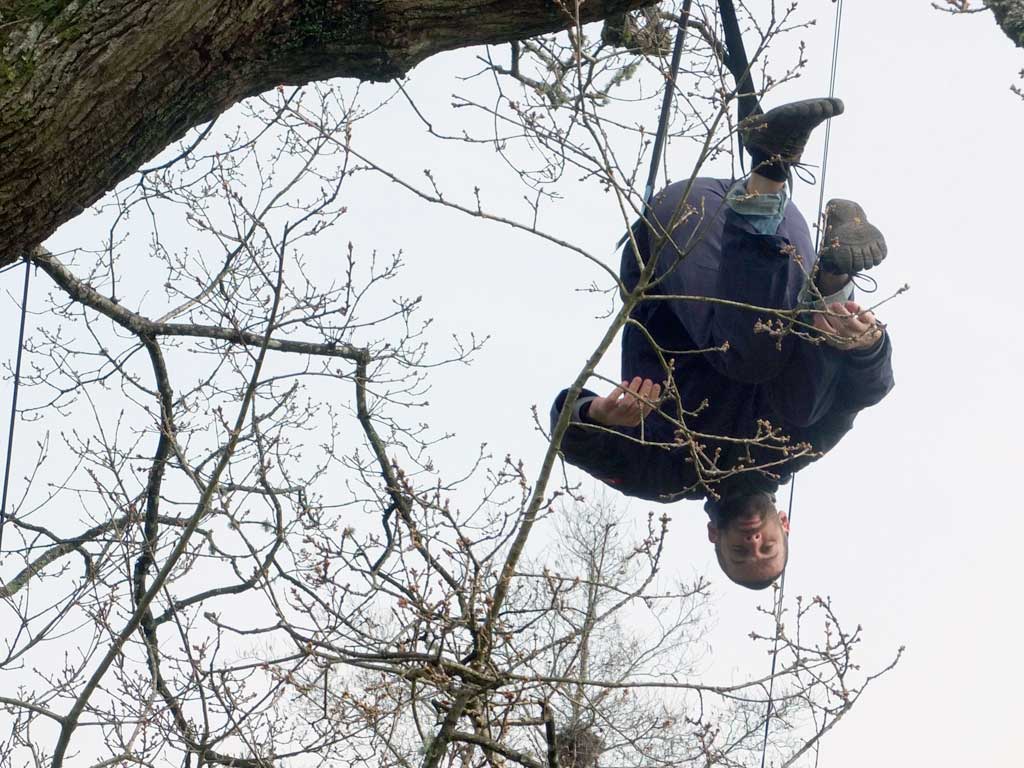 Migrations - Calling Tree rehearsals