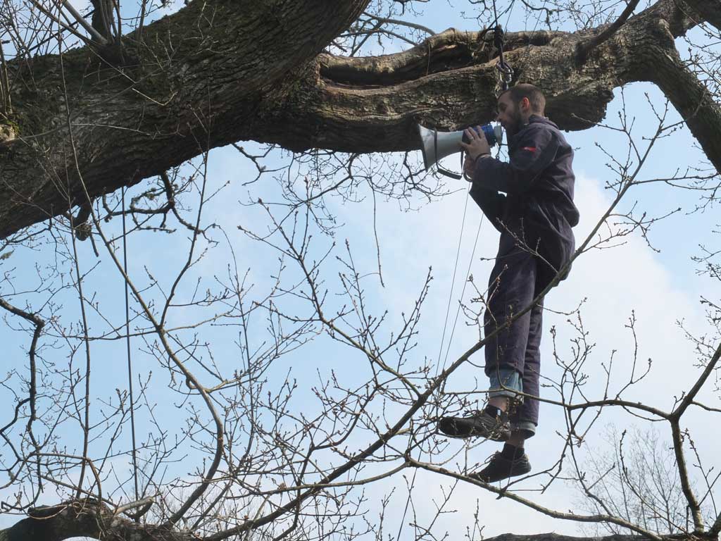 Migrations - Calling Tree rehearsals