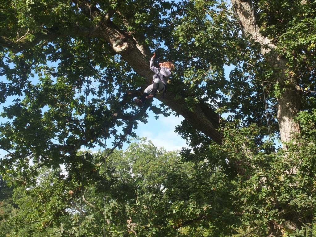 Migrations - Calling Tree rehearsals