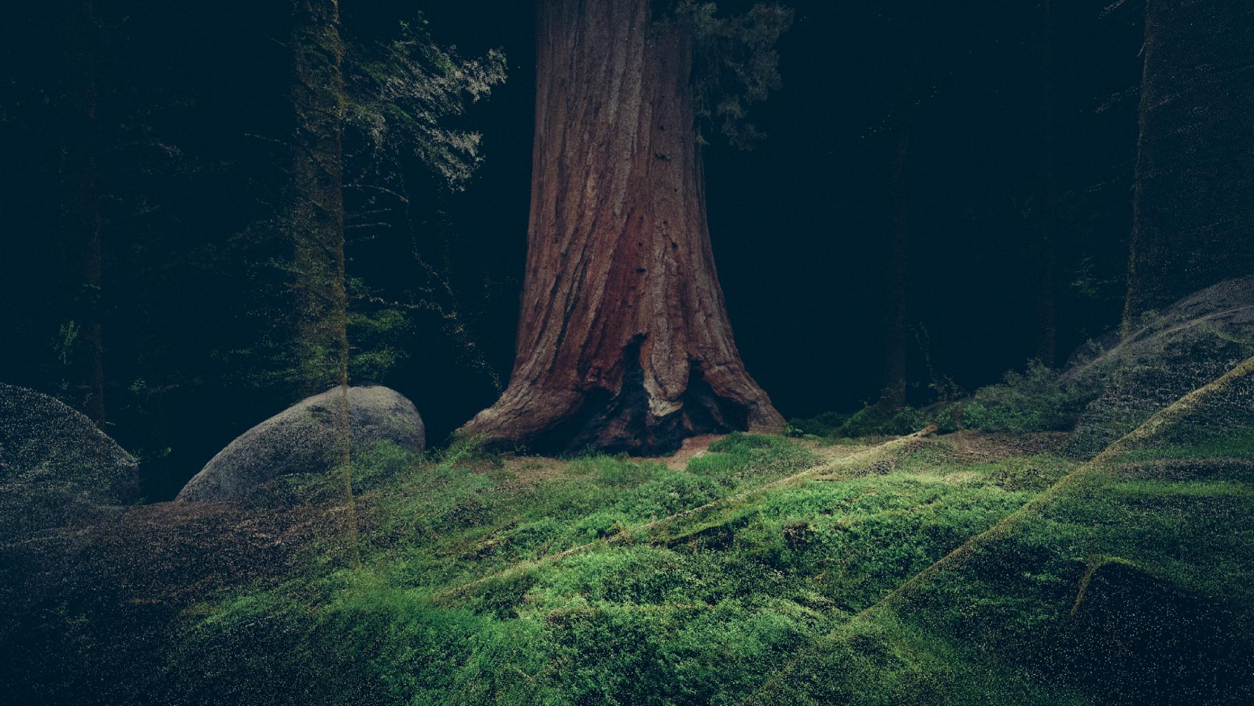 Treehugger Chapter 1 Wawona - 3